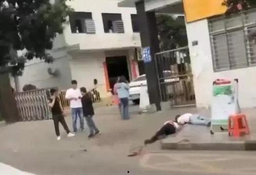 占陇中学爆料事件视频最新,真相与争议交织的校园风云  第1张